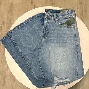 Wild Fable Light Blue Flare Jeans